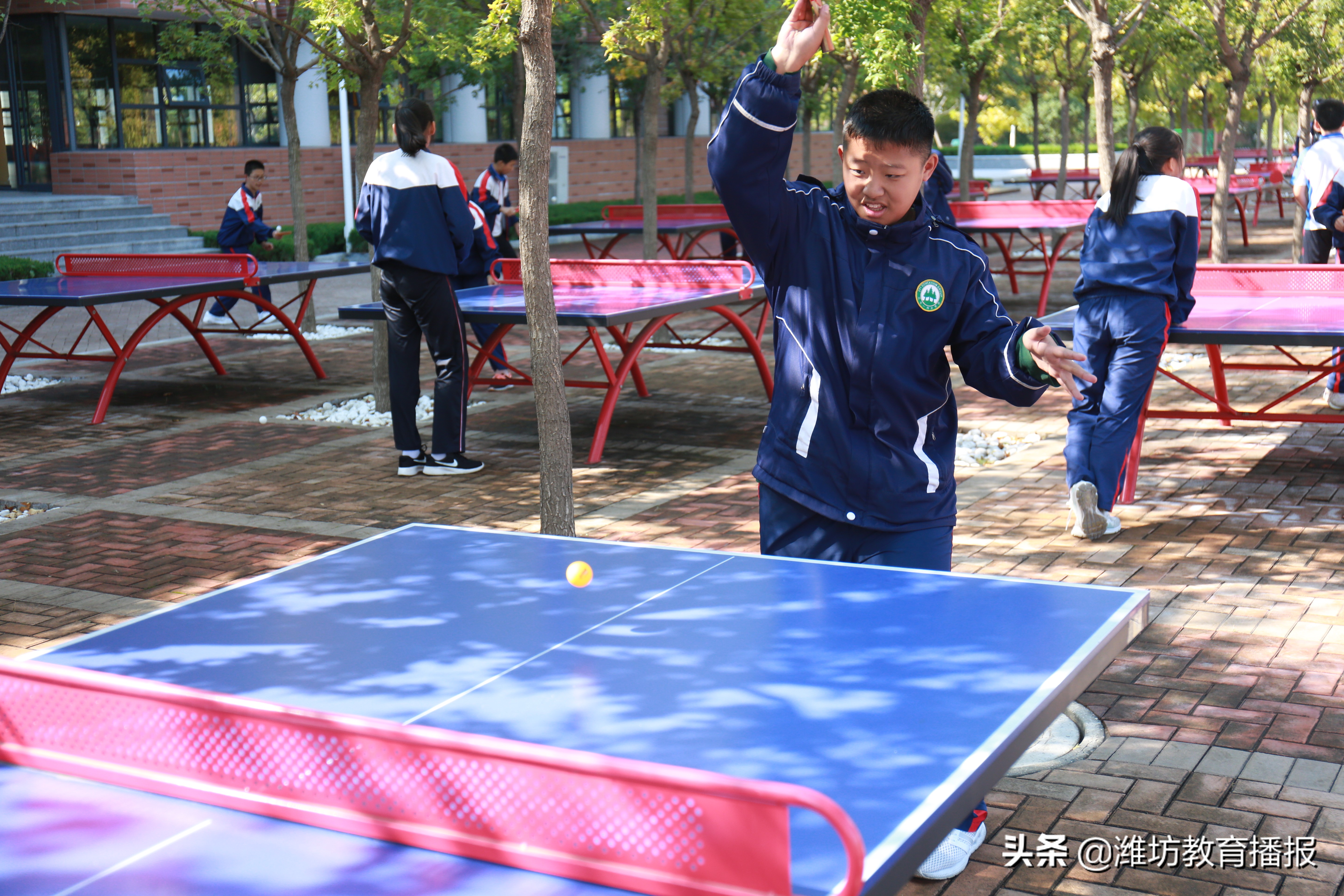 潍坊实验中学拉力赛,潍坊实验中学武术比赛