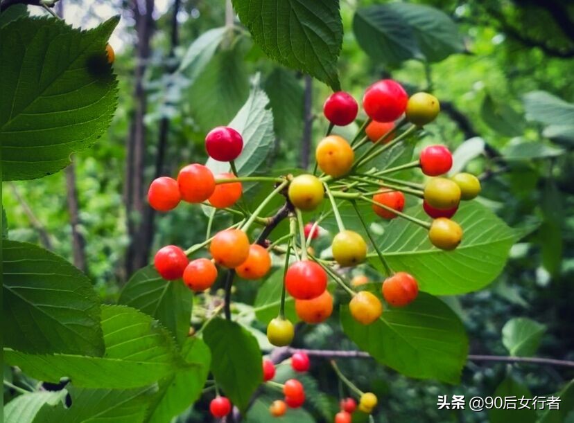 探寻青城山,探秘青城山神仙洞怎么走