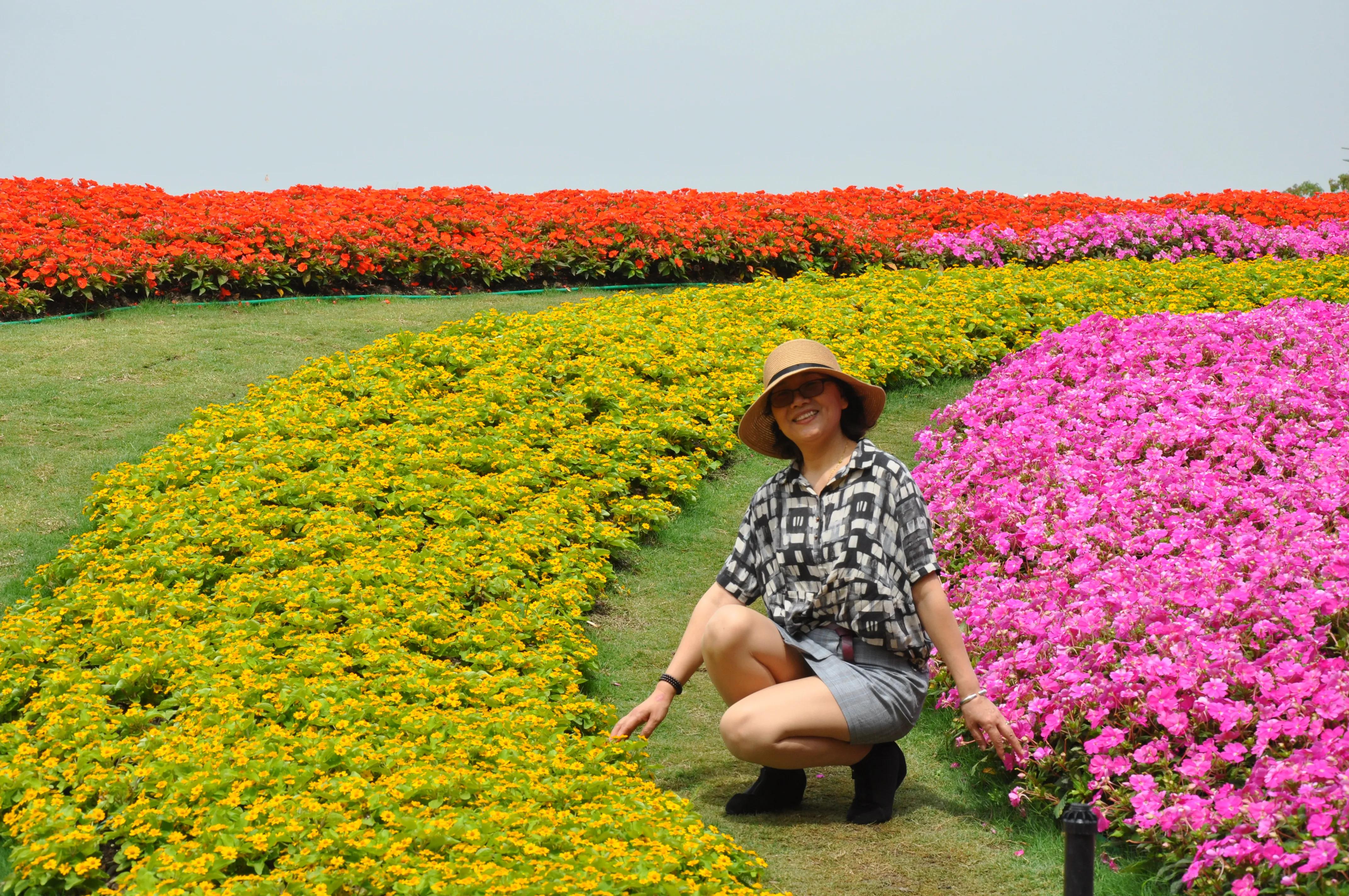 漳州东南花都花博会巡游,花博会花神巡游打卡