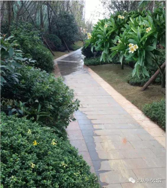 实拍深圳的一座公园,深圳有足球场的公园