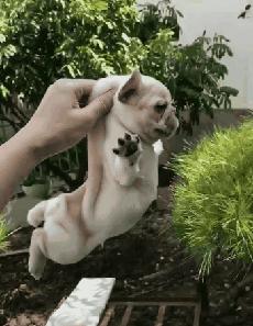 中国最低调的选手,中国最低调的男配角