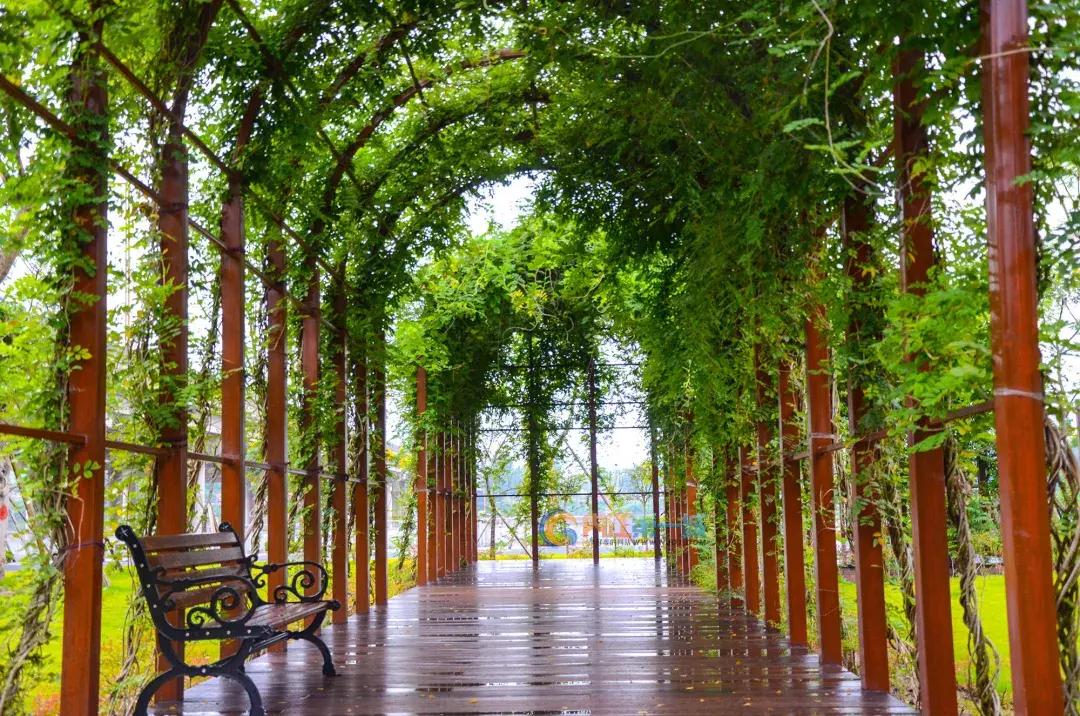 内江体育馆有室内运动场吗,内江健身运动