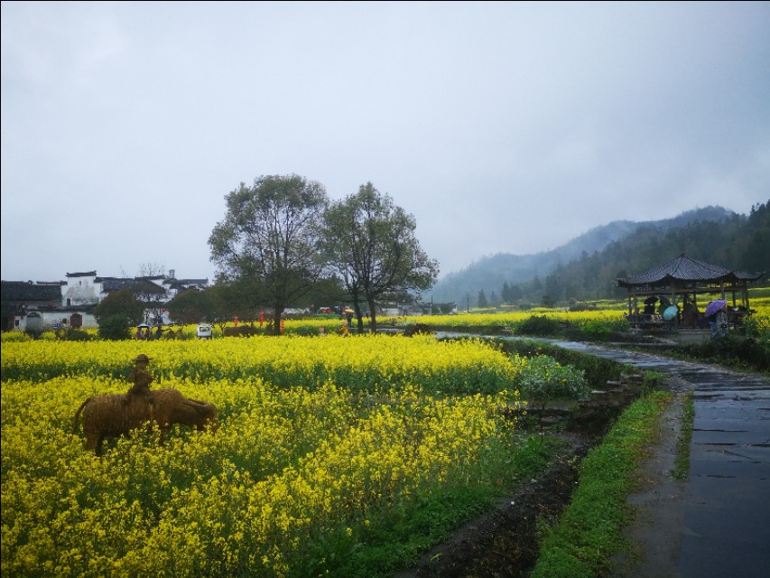 去安徽黄山玩攻略,安徽黄山三日游最佳攻略