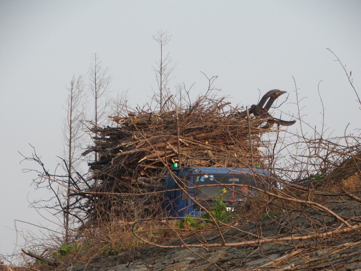 捕猎野兔后，他们有了新的启示