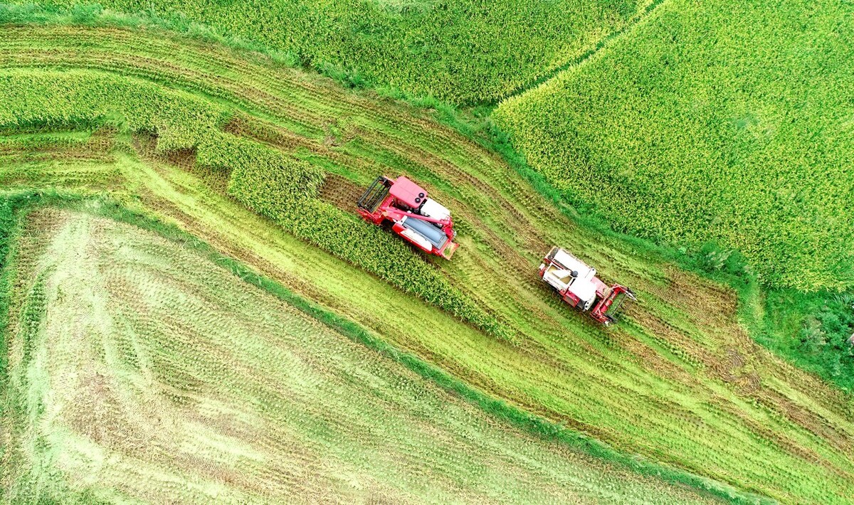 国家为什么要大力发展湖南常德,国家为什么要大力发展湖南