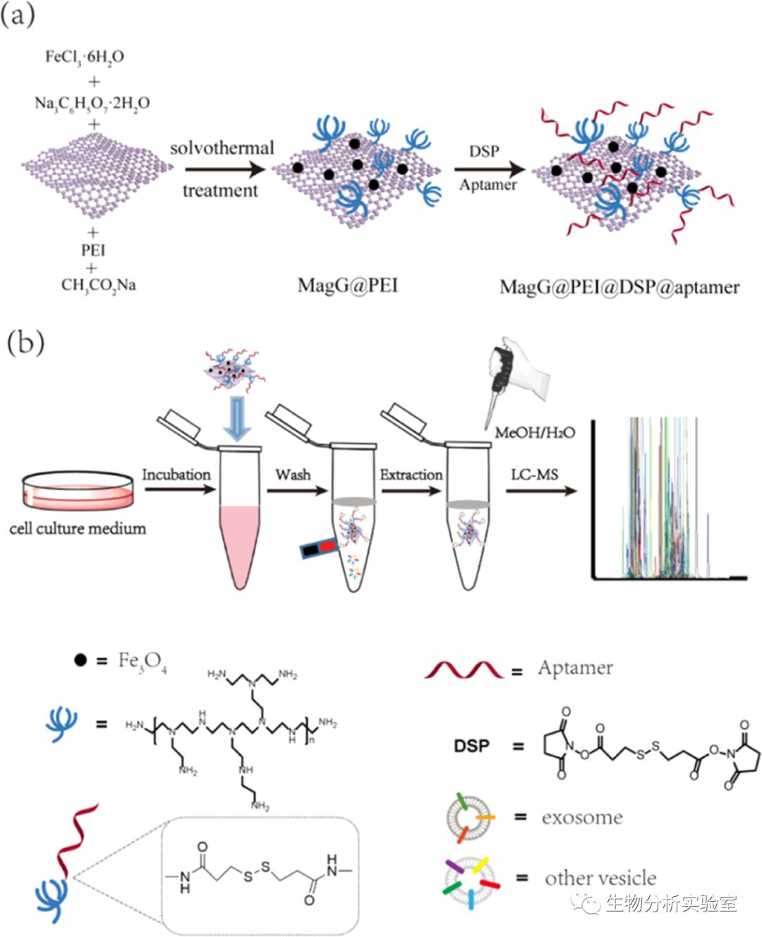 AnalChem：适配体修饰新材料用于外泌体富集及代谢组应用