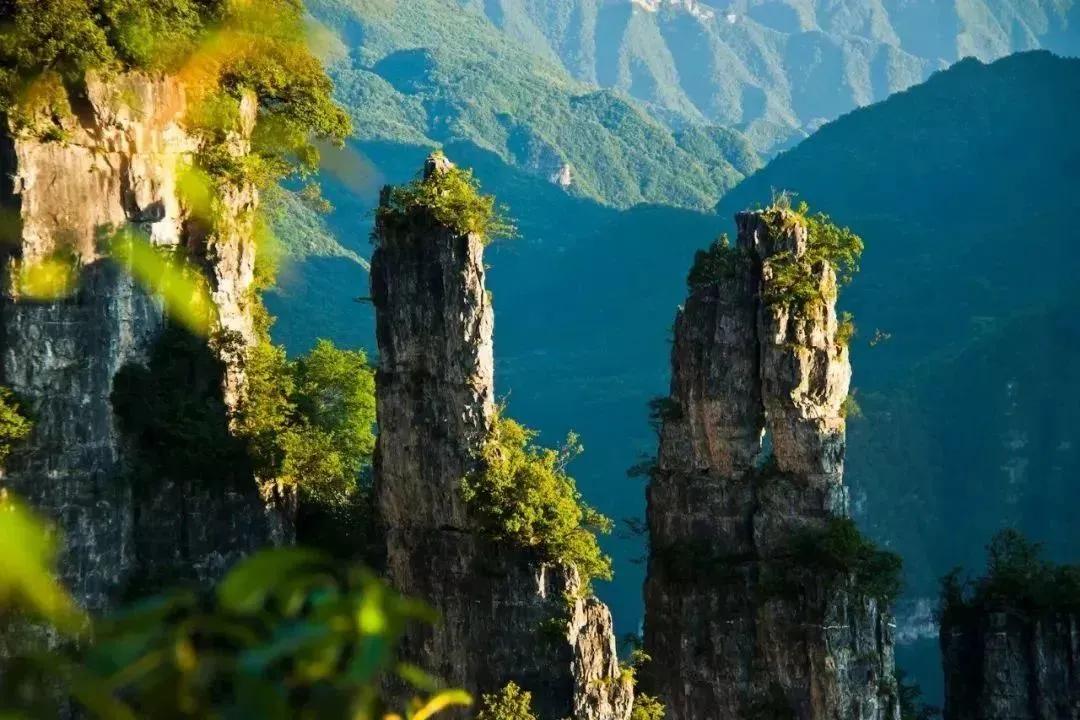 中国五大茶旅胜地,中国十大茶旅城市有哪些