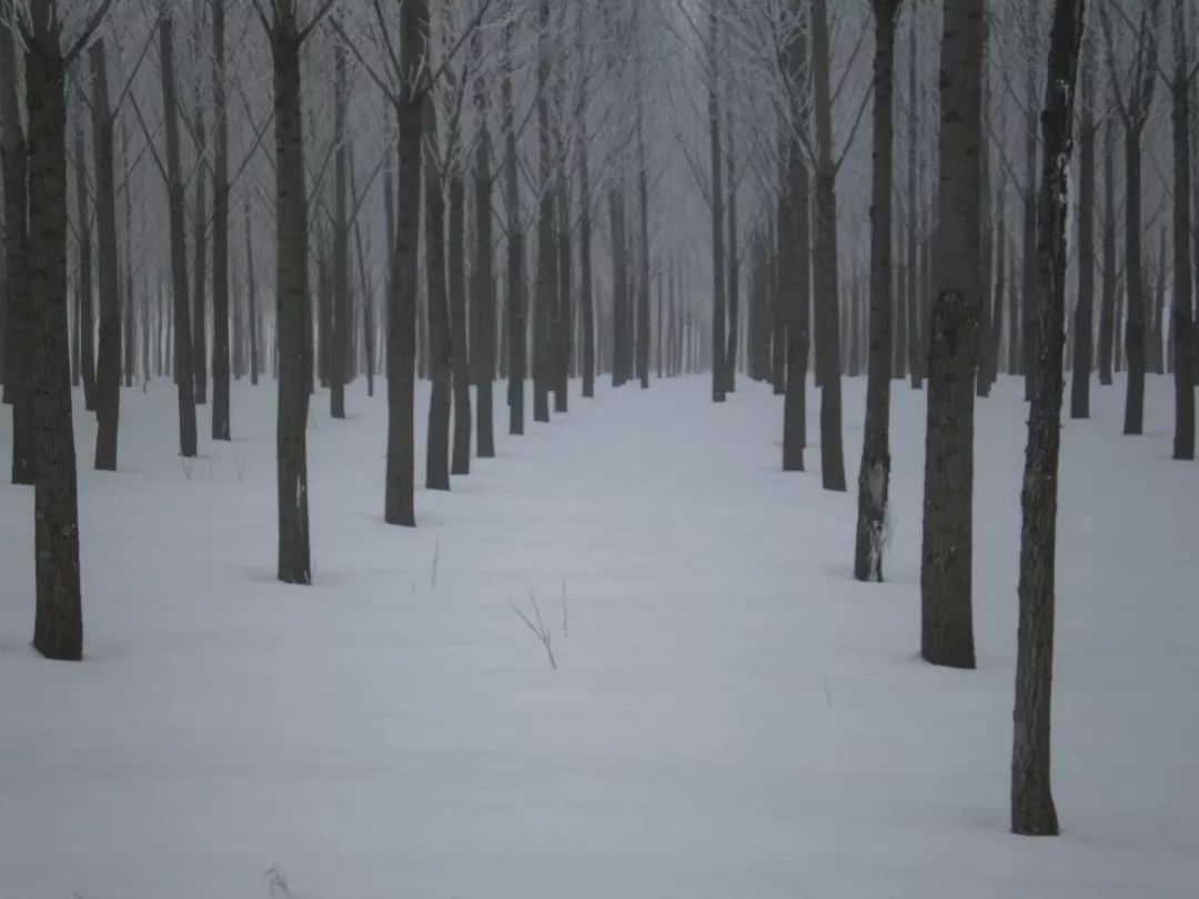 敬礼粤语,敬礼缅甸语