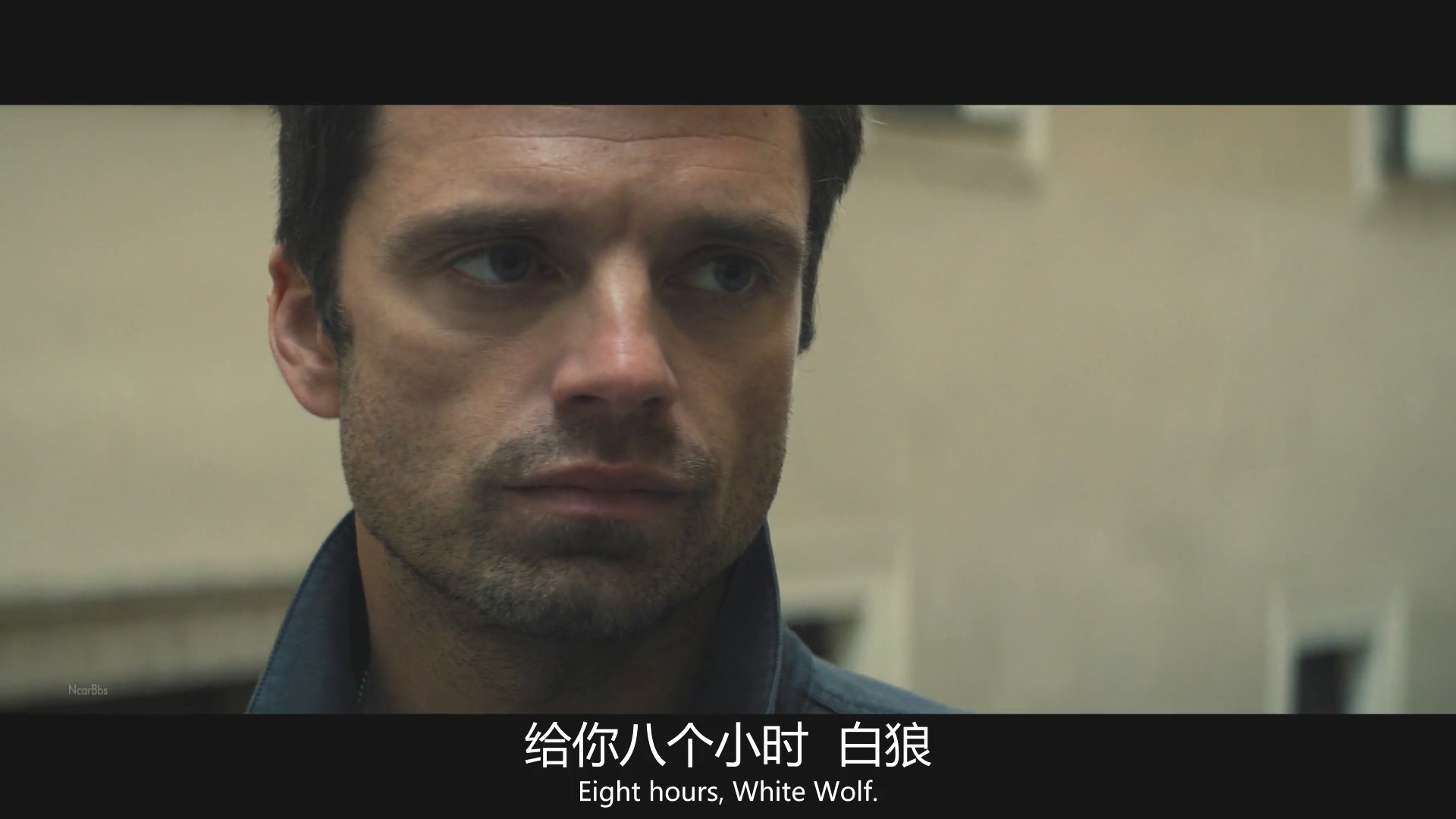 朵拉护卫队名场面,朵拉护卫队高燃