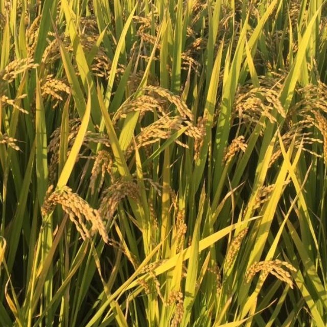 辞职离开公司20天又后悔了怎么办,辞职创业失败如何回归职场