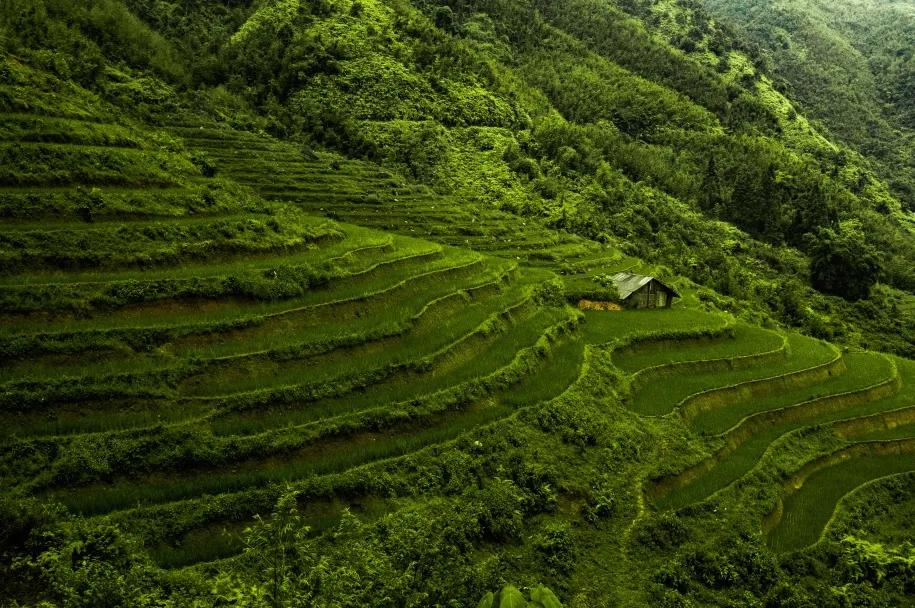 谁才是最大的资本家,谁才是真正的资本