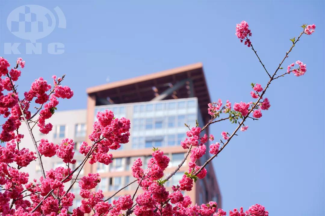 不一样的昆明理工大学，究竟有多牛