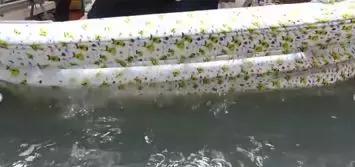 塑胶表面处理哪里有,塑胶表面发黏怎么处理