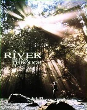 在平静的日子中找到生活的乐趣,在平静生活中寻找乐趣