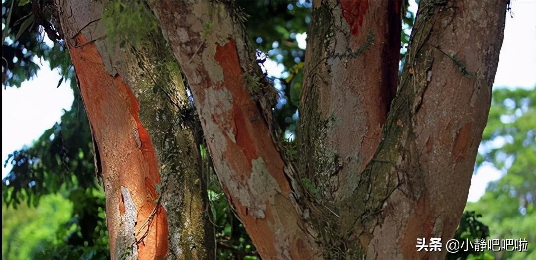 你不知道的国家冷知识俄罗斯,你不知道的国家冷知识摩洛哥