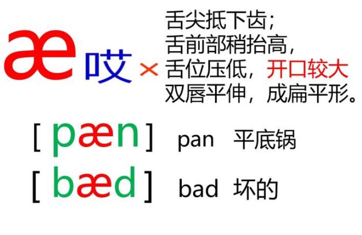 英语外教一对一教孩子视频,英语外教一对一口语怎么学
