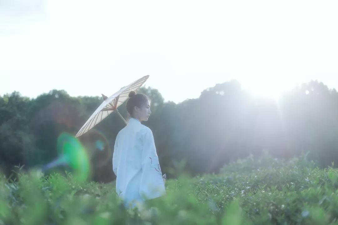 醍醐灌顶文章,醍醐灌顶的文章四句话