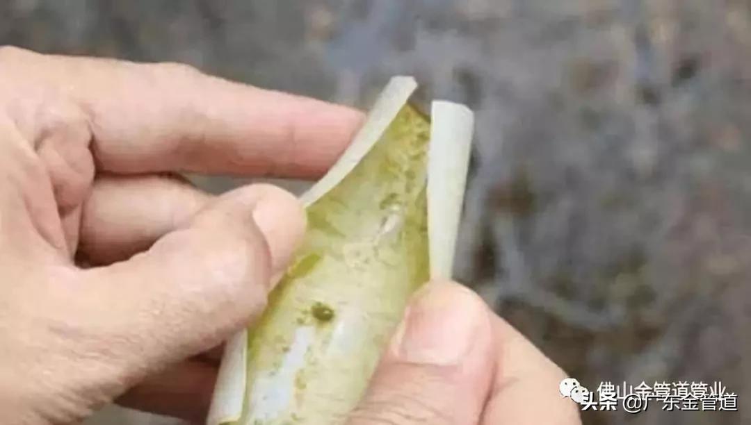 自来水中重金属怎么消除,自来水里的杂质怎么处理