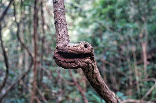 贺州旅游必去十大景点排名,贺州旅游十大最佳景点推荐