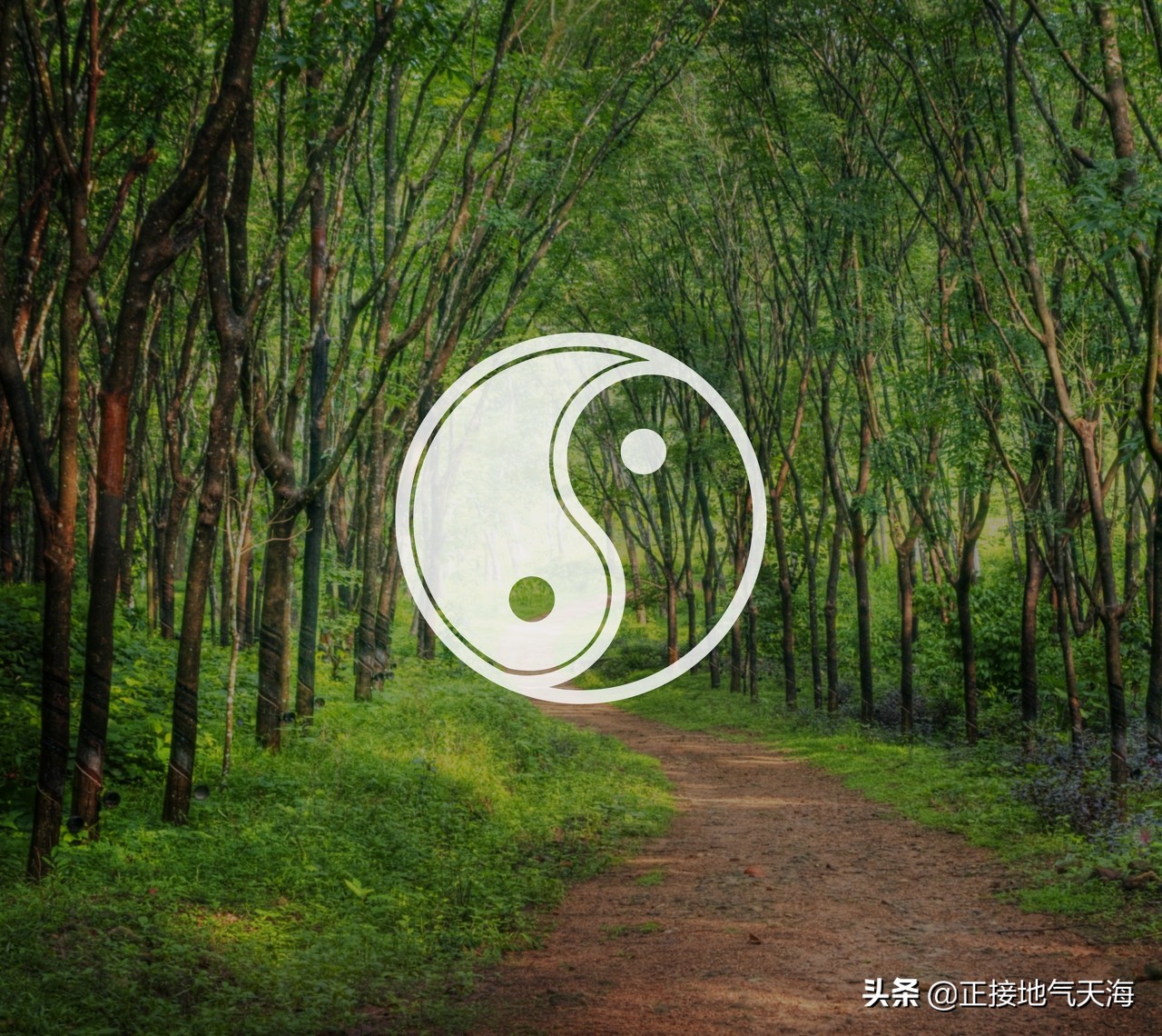 金溪象山攻略,象山旅游景点怎么规划