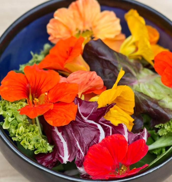 这9种花很常见可赏可吃可饮,秋天可以吃的十种花