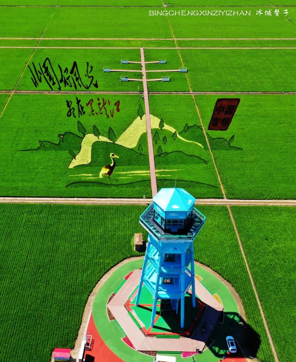 再返富锦，为着那份飘着稻花香的“湿”意约定