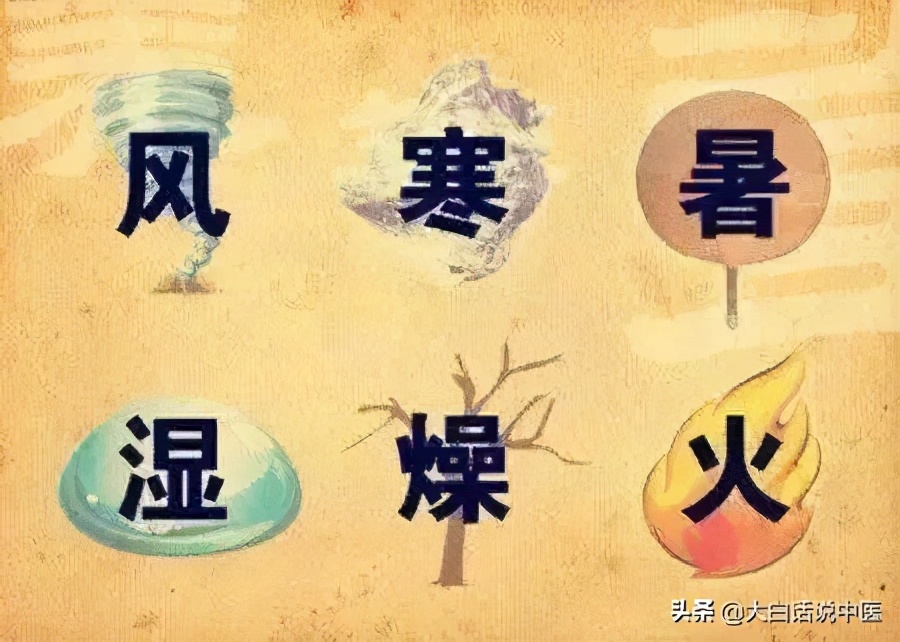 大白话说中医第七十九集,大白话说中医第十九期