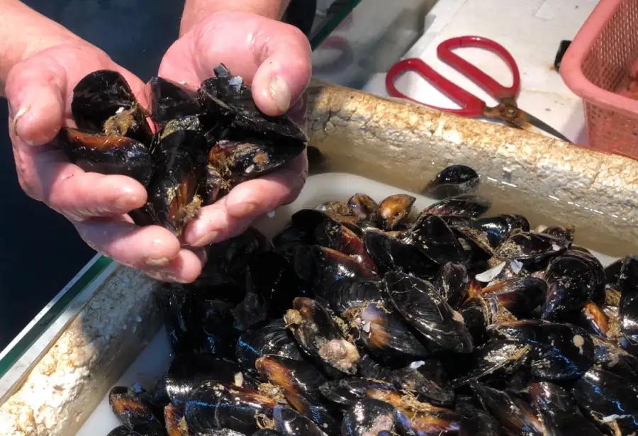 我，出海打鱼十五年，月薪1.2万，最后差点命丧大海