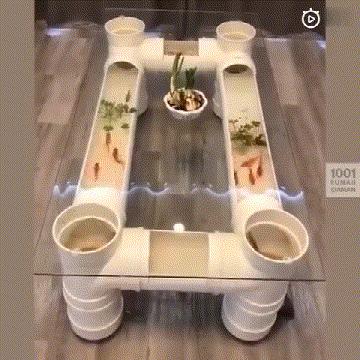 搞笑动图笑得肚子痛,搞笑动图gif图片合集