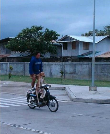 幽默段子gif,夏天凉快搞笑段子