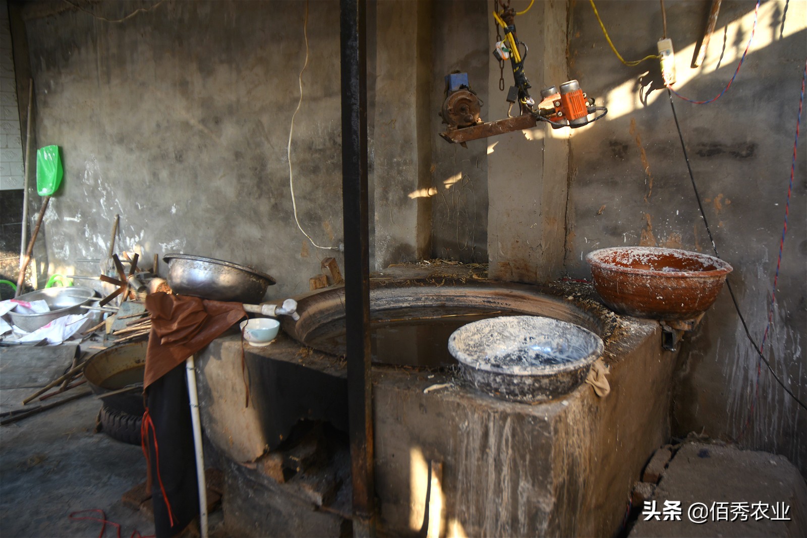 村民用红薯做万斤粉条寻销路,纯手工红薯粉条铺就乡村致富路