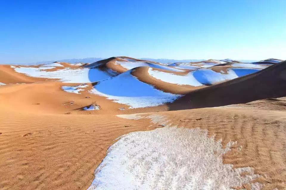 机票490飞往黄河过大年，主人请吃年夜饭，9项新年活动免费送