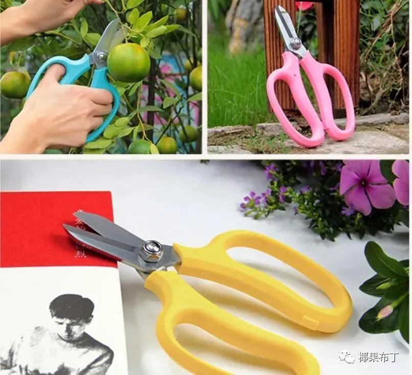 最好用的园艺剪刀排名,园艺剪刀哪个品牌最好