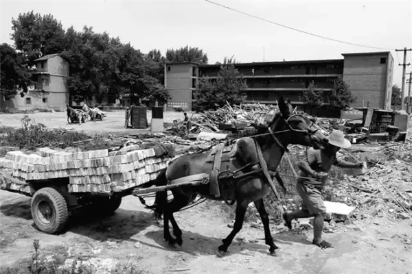 从西安到长安1905-2019沧海桑田(二)