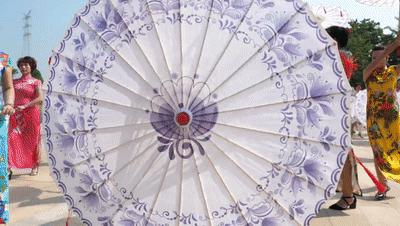 惊艳全国、破世界纪录!455名旗袍佳丽云集湛江遂溪玥珑湖