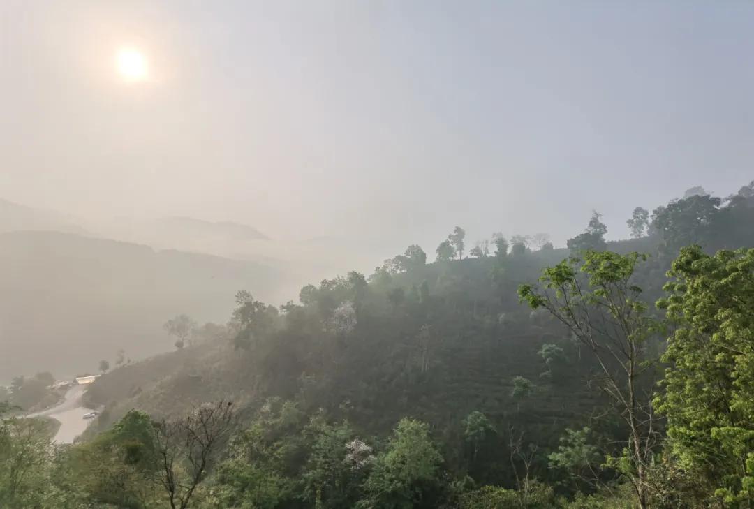 昔逐红尘千里归,昔逐红尘千里归出自哪里