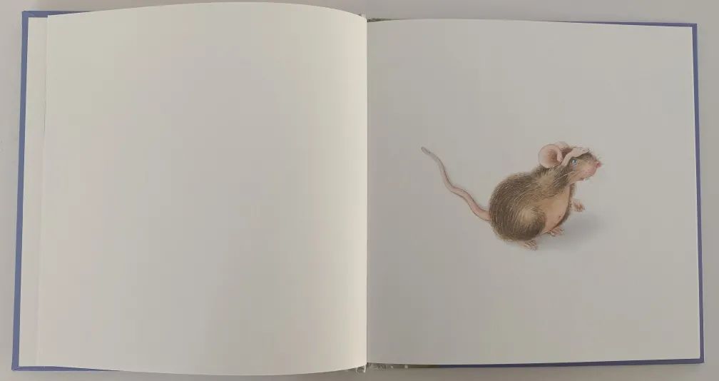 无字绘本老鼠,绘本懒惰小老鼠是怎么介绍的