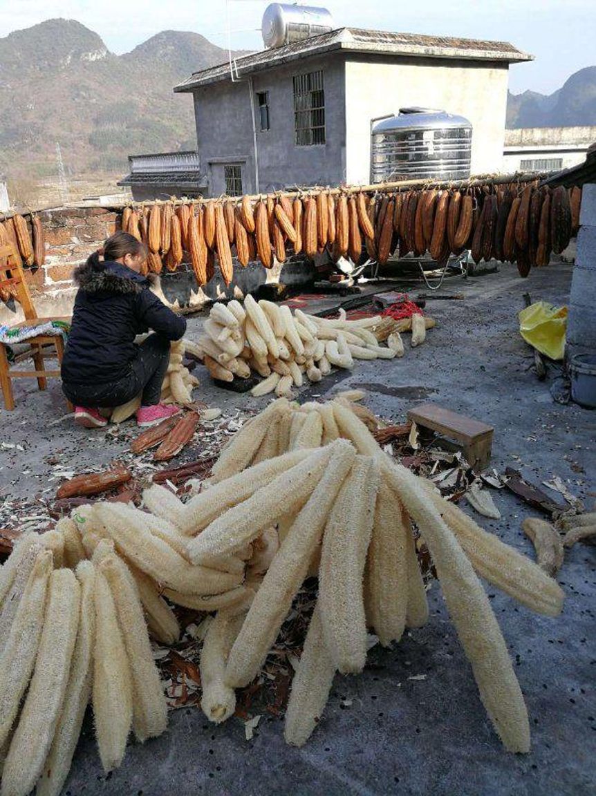 农村人都不要的丝瓜络她卖了6年，回家盖小楼，还花70万市区买房