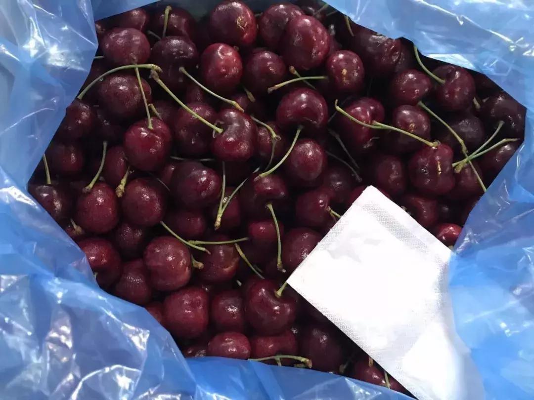 进口的水果有哪些,进口水果价格高的解决办法