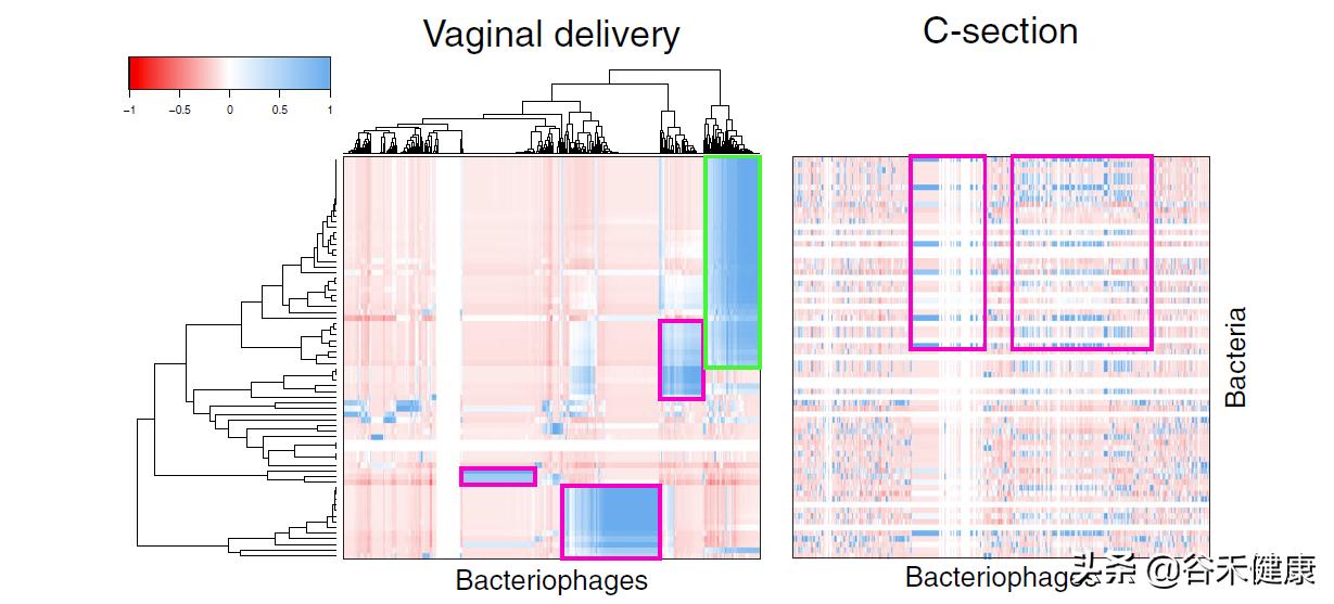 Microbiome杂志：细菌和病毒从母亲到婴儿的不一致传播