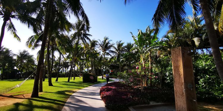 三亚红树林有亲子活动,三亚红树林和海韵