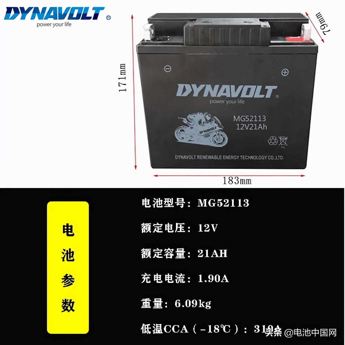 猛狮科技储能技术,猛狮科技氢燃料电池