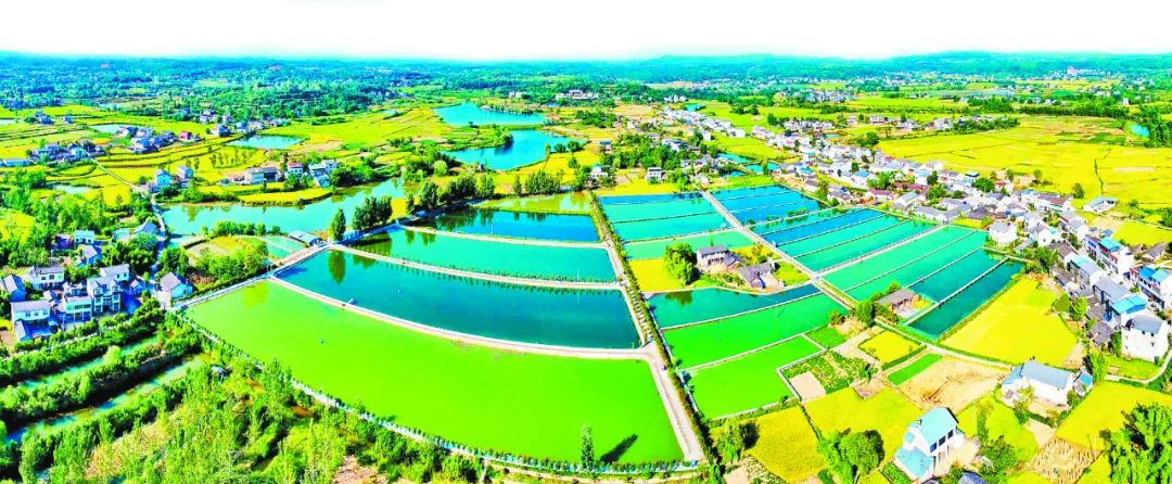 蜀青振兴贷是啥,蜀青振兴贷