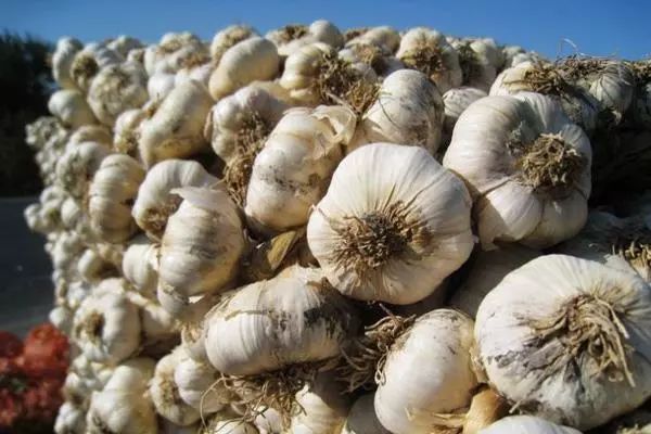 全国各地最全特产,全新疆特产