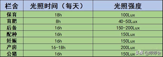 养猪场饲养管理技术要点,阳光养猪场的正确方法和技巧