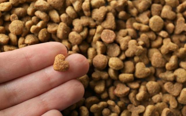 哪种狗粮适合秋田犬,秋田犬一天多少狗粮