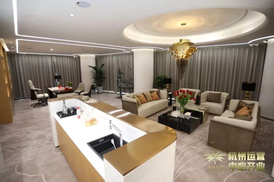 璀璨开业|羽悦本草杭州运营中心正式开业!喜迎发展新篇章