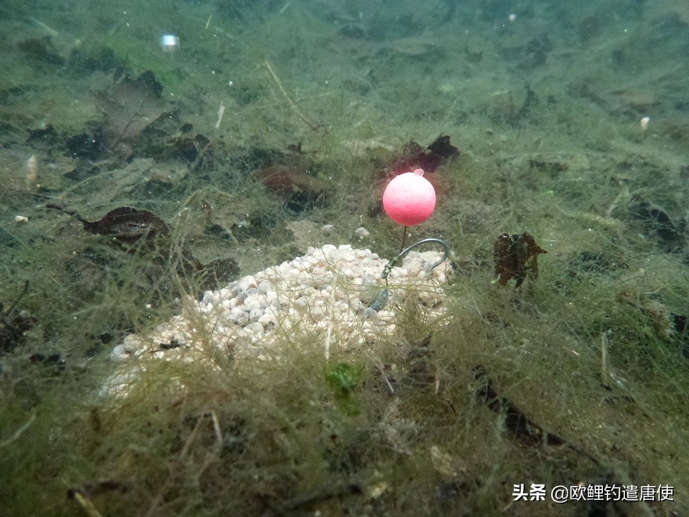 老外钓鱼打窝,老外打窝钓鱼视频大全