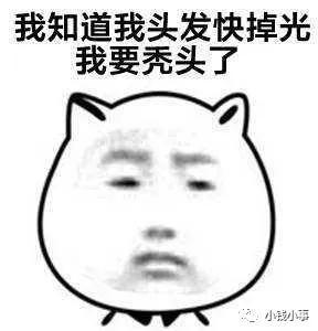 在证券公司上班是种什么体验,信托公司的工作有哪些