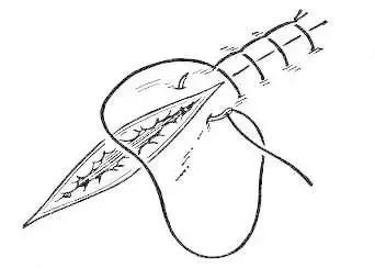 外科缝合方法笔记,兽医外科手术中最常用的缝合方法